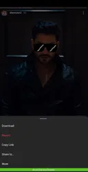 Instander screenshot