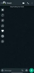 WhatsApp Gold screenshot