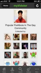 MyVidster screenshot