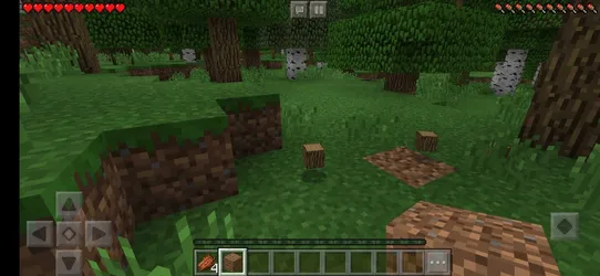 Minecraft Bedrock Edition screenshot