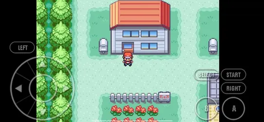 Pokemon Fire Red screenshot