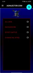 AG Injector screenshot
