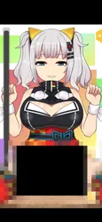 Kaguya Player screenshot