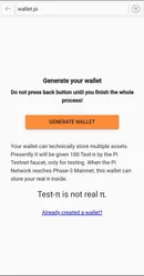 Pi Browser screenshot