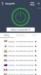 Wang VPN screenshot