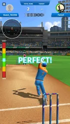 Cricket League screenshot