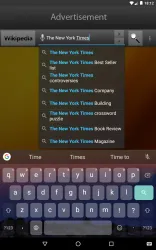 Quick Search Widget screenshot