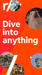 Reddit screenshot