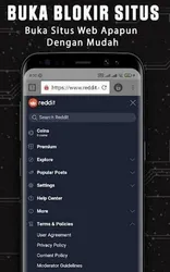 XNXUBD VPN Browser screenshot