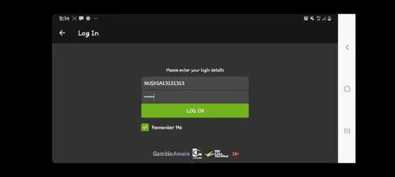Newtown screenshot