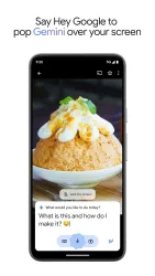 Gemini screenshot