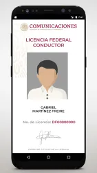 Licencia Federal Digital screenshot
