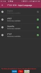 FynGeez screenshot