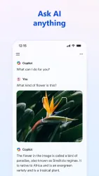 Microsoft CoPilot screenshot