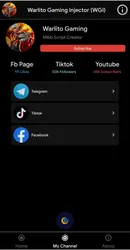Warlito Injector screenshot