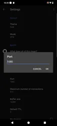 Byedpi screenshot