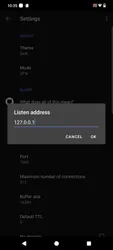 Byedpi screenshot