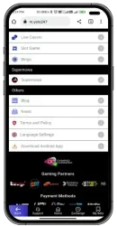 Yolo247 screenshot