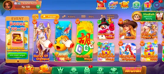 Biwin777 screenshot