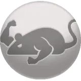 Cat Mouse