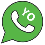 YOWhatsApp logo