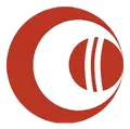 My11Circle