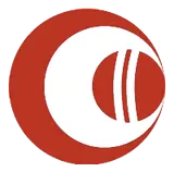 My11Circle logo