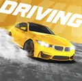 City Car Driving