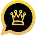 WhatsApp Black Gold