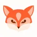 Fox VPN