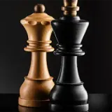 Chess logo