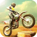 Bike Racing 3D