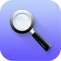 Quick Search Widget