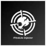 Modlite Injector logo