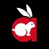 Rabbit Web logo