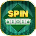 Spin 101