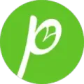 Green Pista