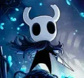 Hollow Knight 